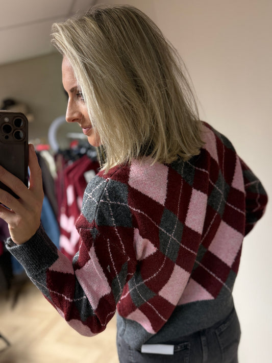 Vest Mary Argyle V-hals Grijs Bordeaux Roze