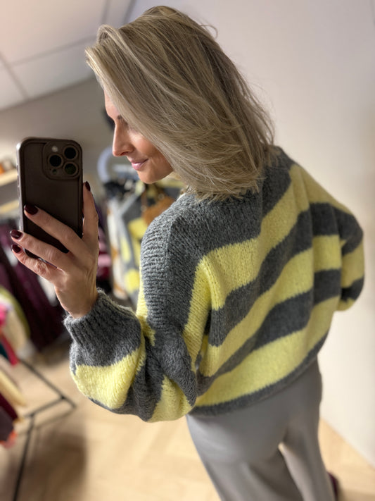 Trui Jaimy Streep Grijs Geel