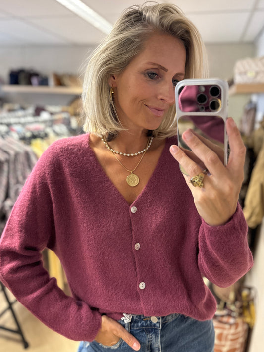 Vest Claudia Alpaca Lange Mouw Mauve