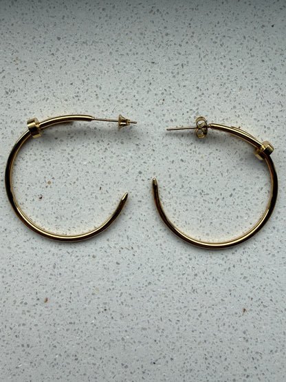 Oorbellen Spijker Goud