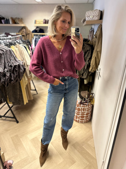 Vest Claudia Alpaca Lange Mouw Mauve