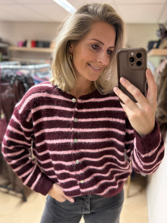 Vest Vito Streep Burgundy Roze