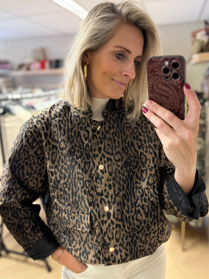 Jack Leopard Bruin Zwart