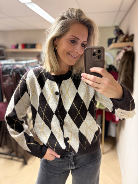 Vest Claire Donkerbruin Beige