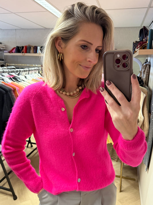 Vest Claudia Lange Mouw Alpaca Felroze