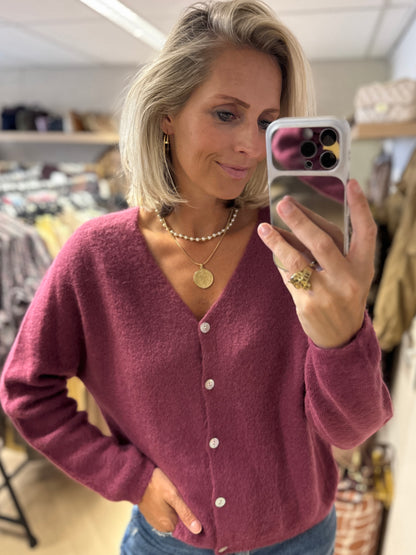 Vest Claudia Alpaca Lange Mouw Mauve