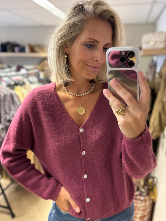 Vest Claudia Alpaca Lange Mouw Mauve