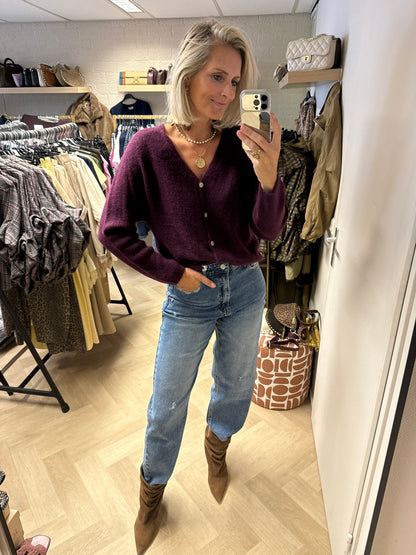 Vest Claudia Alpaca Lange Mouw Plum