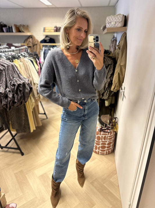 Vest Claudia Alpaca Lange Mouw Grijs