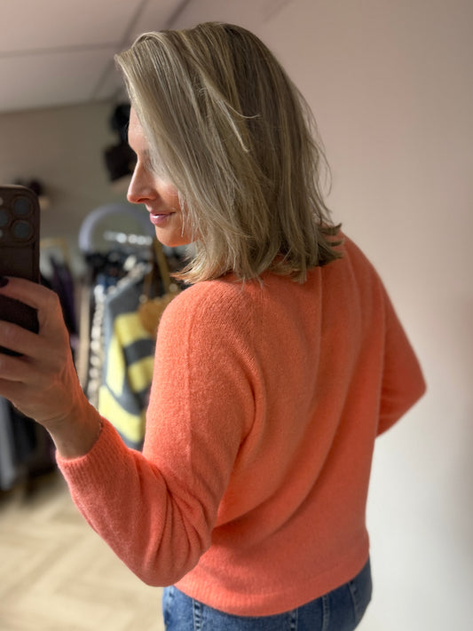 Trui Claudia Alpaca Lange Mouw Peach