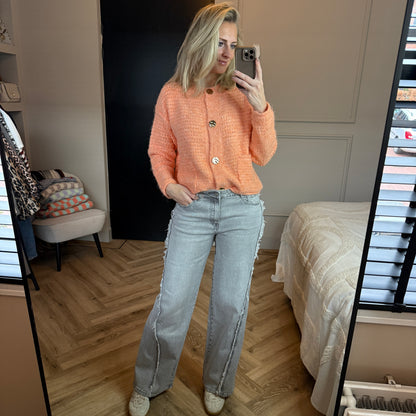 Jeans Gani Lichtgrijs