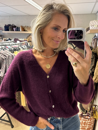 Vest Claudia Alpaca Lange Mouw Plum