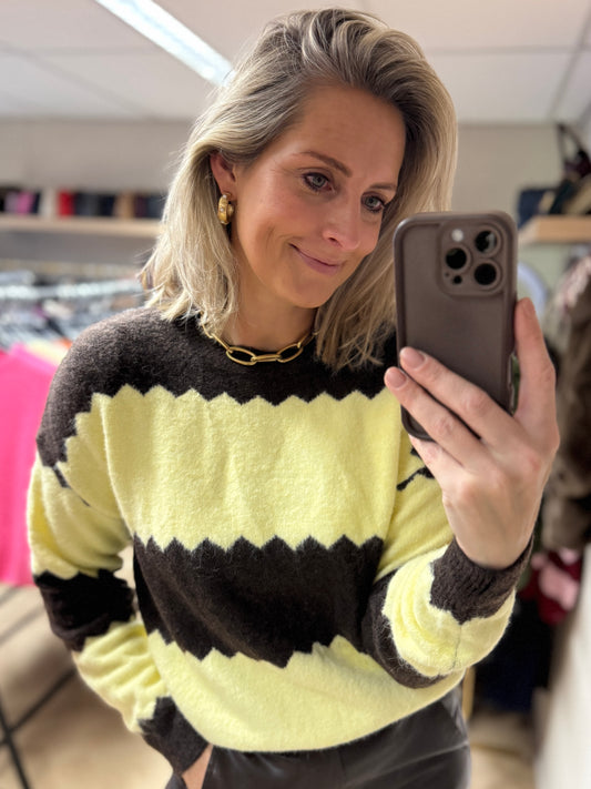 Trui Vienna Bruin Geel