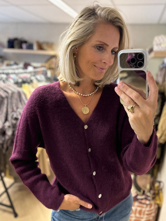 Vest Claudia Alpaca Lange Mouw Plum
