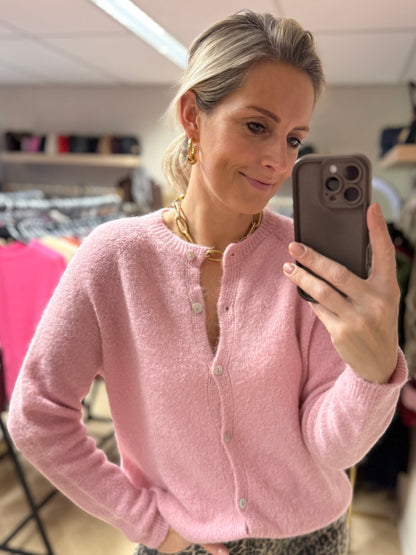 Vest Claudia Lange Mouw Alpaca Zachtroze