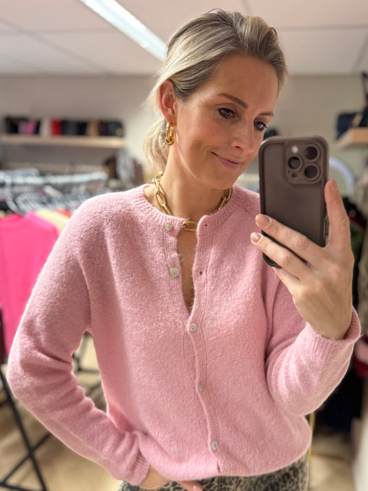 Vest Claudia Lange Mouw Alpaca Zachtroze