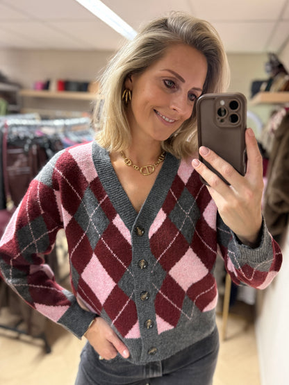 Vest Mary Argyle V-hals Grijs Bordeaux Roze
